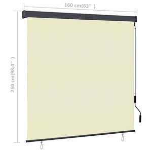 Tenda a Rullo per Esterni 160x250 cm Crema 145977