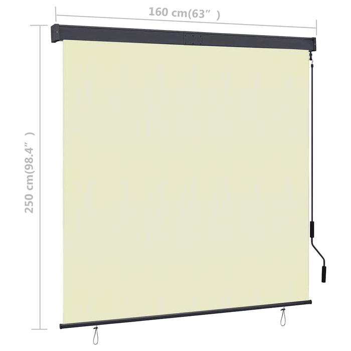 Tenda a Rullo per Esterni 160x250 cm Crema 145977