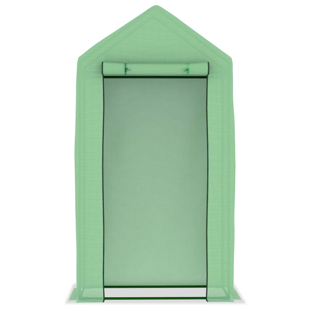 Serra con Struttura in Acciaio 0,5 m² 1x0,5x1,9 m 48168