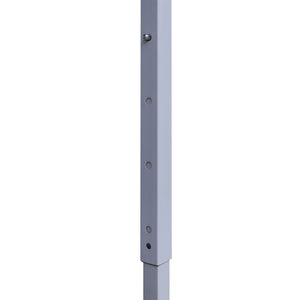 Gazebo Professionale Pieghevole con 2 Pareti 2x2m Acciaio Crema