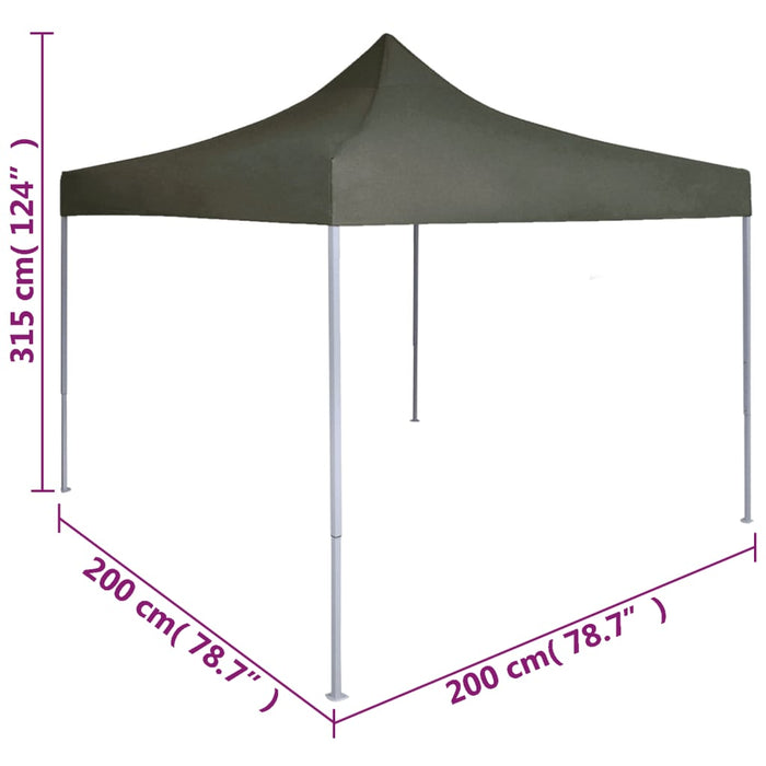 Gazebo Professionale Pieghevole 2x2m in Acciaio Antracite