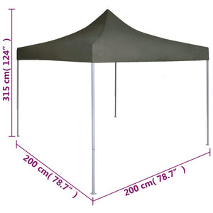 Gazebo Professionale Pieghevole 2x2m in Acciaio Antracite 48883
