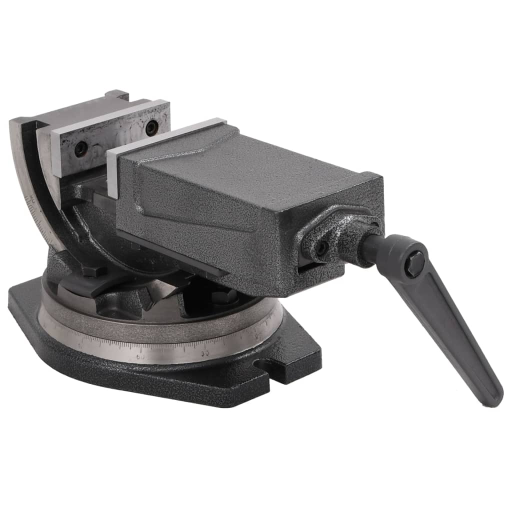 Morsa Inclinabile a 2 Assi 100 mm cod mxl 40259