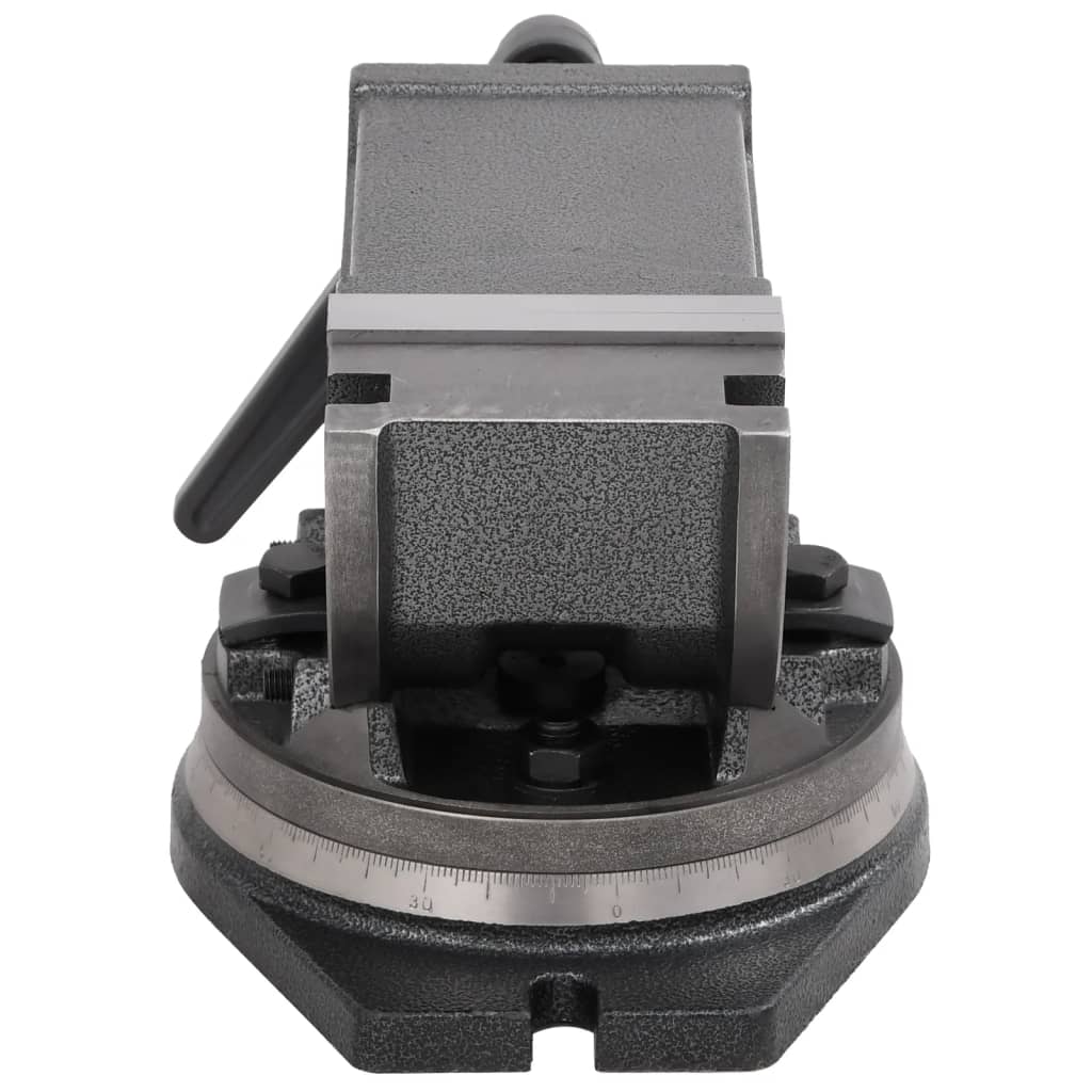 Morsa Inclinabile a 2 Assi 100 mm 145390