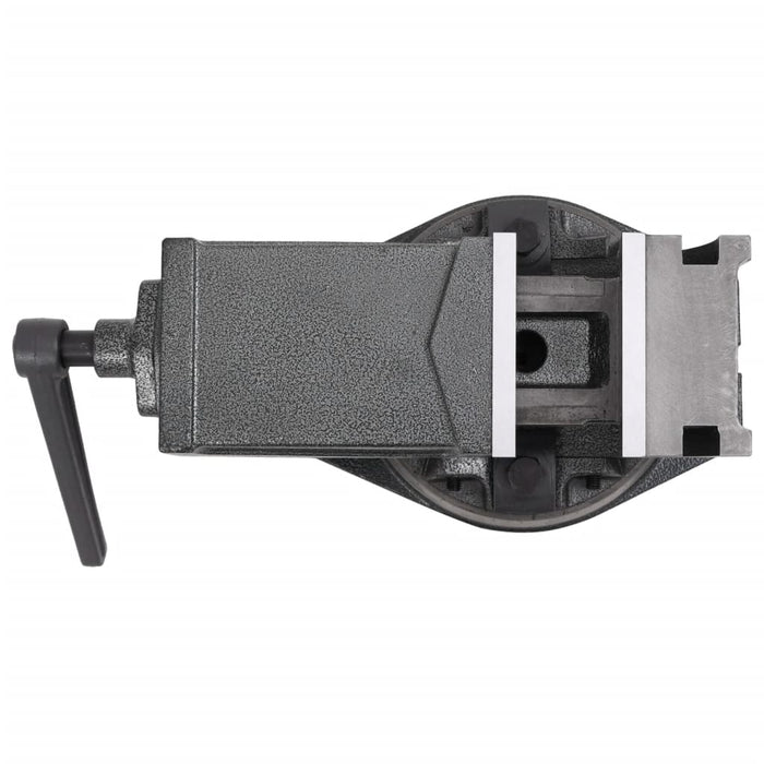 Morsa Inclinabile a 2 Assi 100 mm 145390