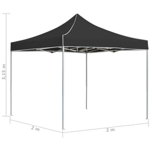Gazebo Professionale Pieghevole Alluminio 2x2 m Antracite 48927