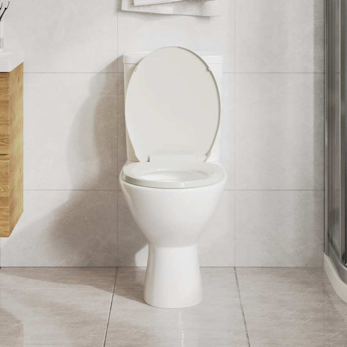 Tavoletta WC a Chiusura Morbida Grigio Chiaro Ovale 145814