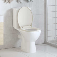 Tavoletta WC a Chiusura Morbida Grigio Chiaro Ovale 145814