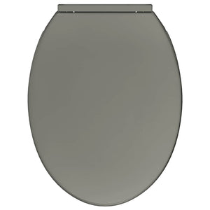 Tavoletta WC a Chiusura Ammortizzata Grigio Ovale 145816