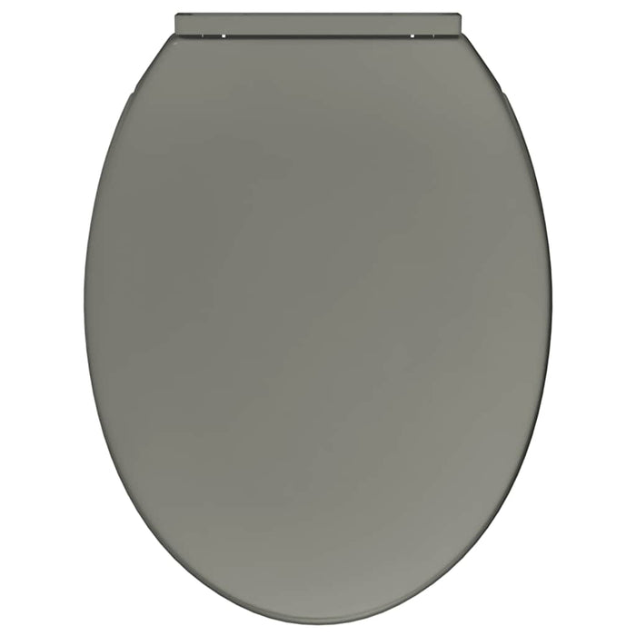 Tavoletta WC a Chiusura Ammortizzata Grigio Ovale 145816