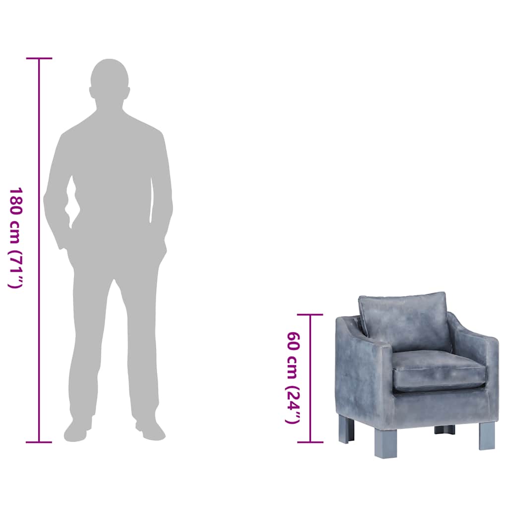 Poltrona Cabriolet Grigia in Vera Pelle 286957