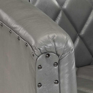 Poltrona a Pozzetto Grigia in Vera Pelle di Capra 286618