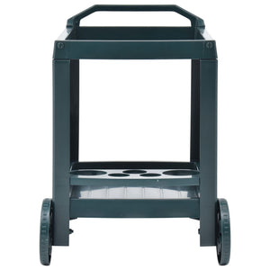 Carrello per Bevande Verde 69x53x72 cm in Plastica 48812