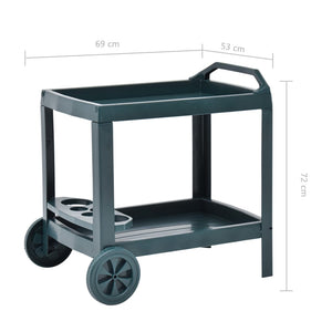Carrello per Bevande Verde 69x53x72 cm in Plastica 48812