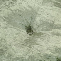 Pouf Rotondo in Velluto 40x20 cm Verde