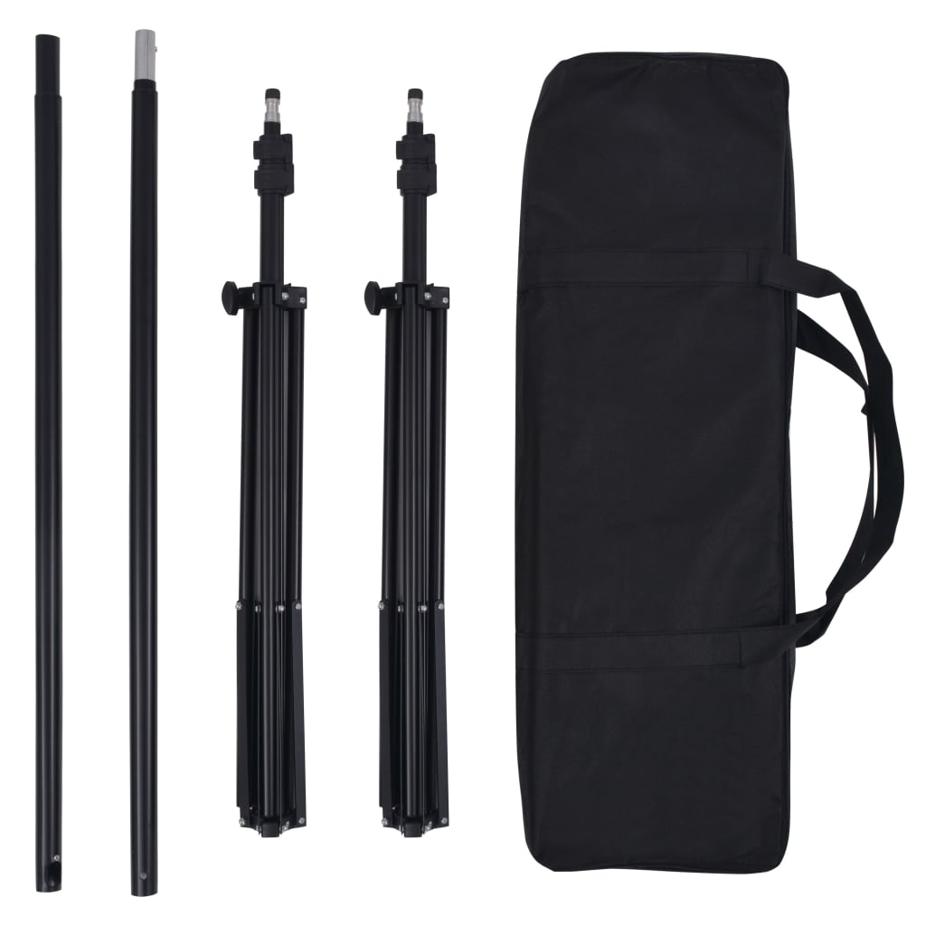 Kit Studio Fotografico Professionale con 5 Fondali Lampade e Ombrelli 02_0001495