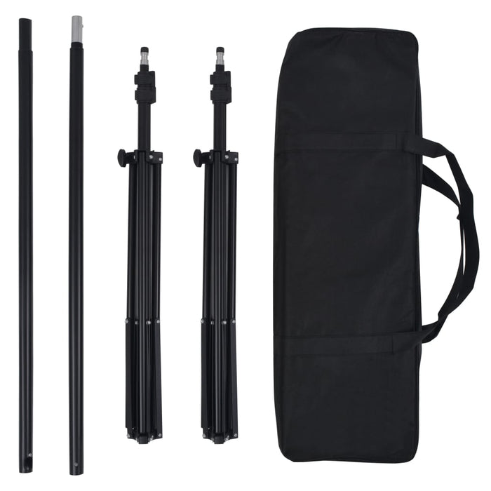 Kit professionale per studio fotografico con 5 fondali e set di illuminazione 02_0001488