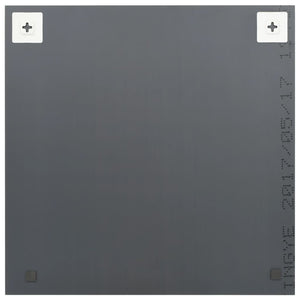 Specchi da Parete 2 pz 50x50 cm Quadrati in Vetro