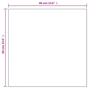 Specchi da Parete 2 pz 60x60 cm Quadrati in Vetro