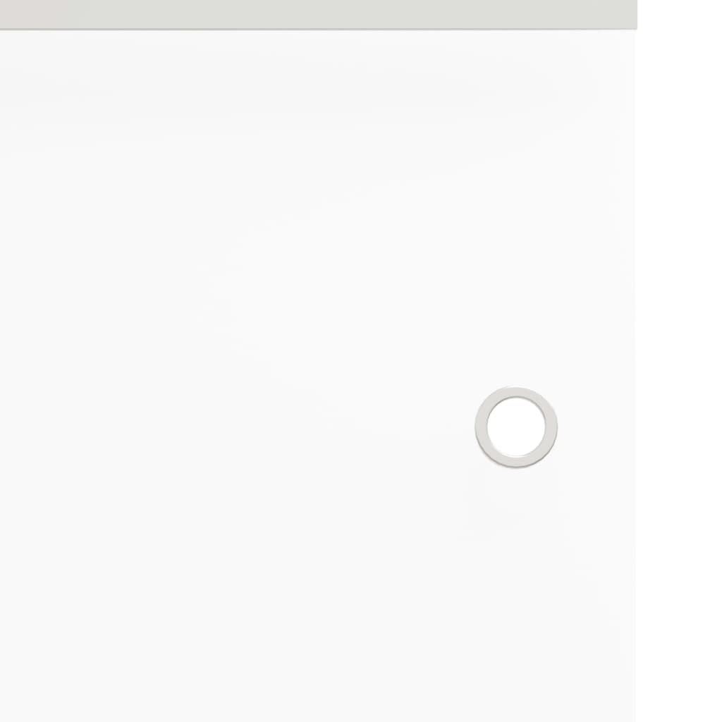 Porta Scorrevole Fermi Vetro ESG e Alluminio Argento 90x205 cm