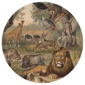 WallArt Carta da Parati Circolare Animals of Africa 142,5 cm cod mxl 60073