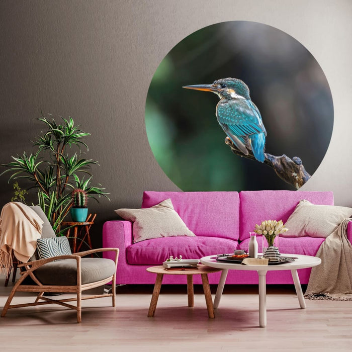 WallArt Cerchio Carta da Parati The Kingfisher 142,5 cm cod mxl 59100