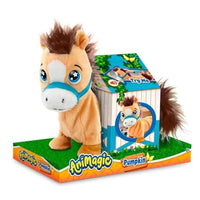 Pumpkin - the pony - 926876.006