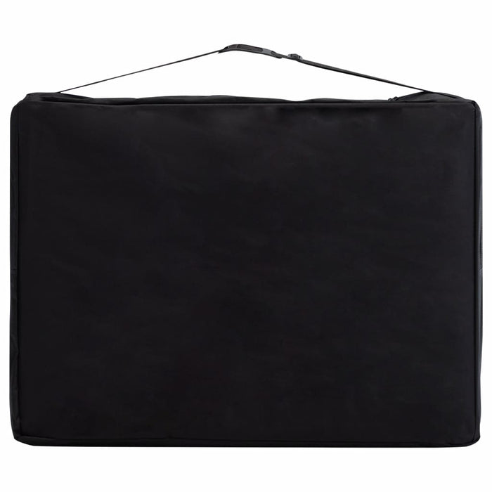 Lettino da massaggio pieghevole 2 zone acciaio inossidabile rosa 02_0001809