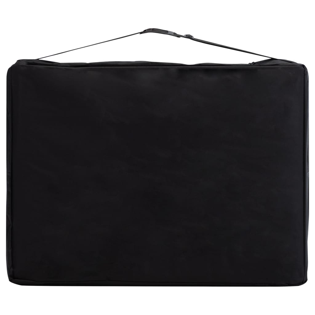 Lettino da massaggio pieghevole lettino da massaggio panca divano terapia cosmetica portatile professionale shiatsu reiki 2 zone alluminio viola 02_0001810