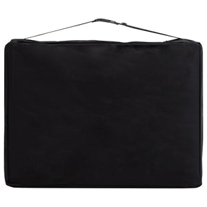 Lettino da massaggio pieghevole lettino da massaggio panca divano terapia cosmetica portatile professionale shiatsu reiki 2 zone alluminio viola 02_0001810