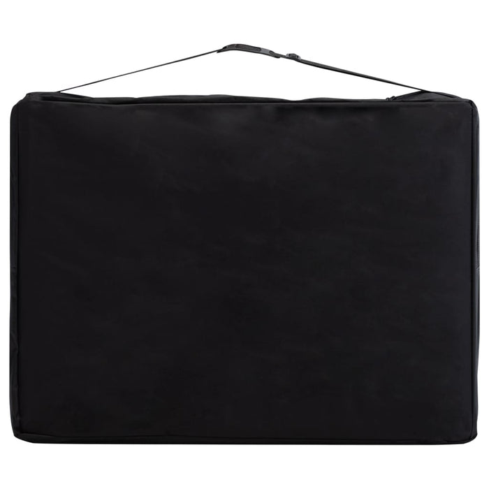 Lettino da massaggio pieghevole lettino da massaggio panca divano terapia cosmetica portatile professionale shiatsu reiki 2 zone alluminio viola 02_0001810