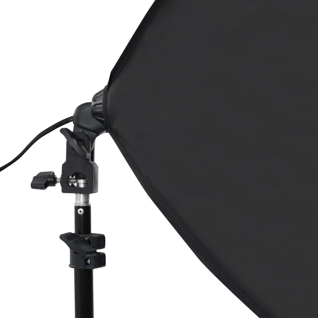 Kit per Studio Fotografico con Luci Softbox e Fondale 3055060