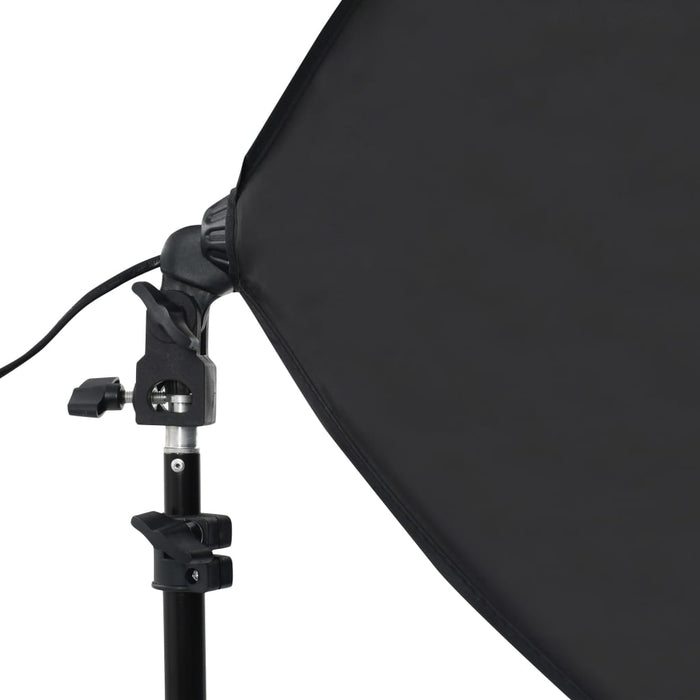 Kit per Studio Fotografico con Luci Softbox e Fondale 3055060