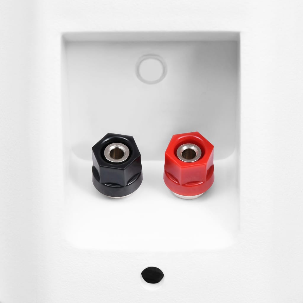 Altoparlanti Stereo da Parete 2 pz Bianchi Interni Esterni 120W 70163