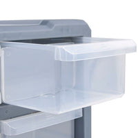 Organizer multicassettiera con 39 cassetti 47 cm 02_0003254