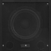 Altoparlanti Professionali Passivi da Palco Hi-Fi 2 pz 1000 W 70102