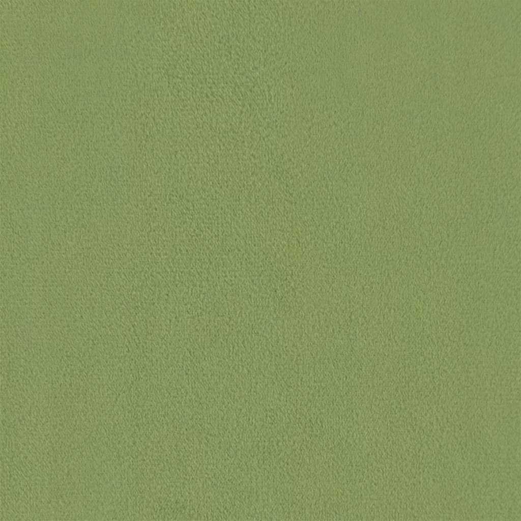Poltrona Verde Chiaro in Velluto 324062