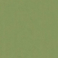 Poltrona Verde Chiaro in Velluto 324062