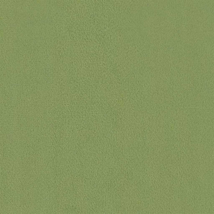 Poltrona Verde Chiaro in Velluto 324062