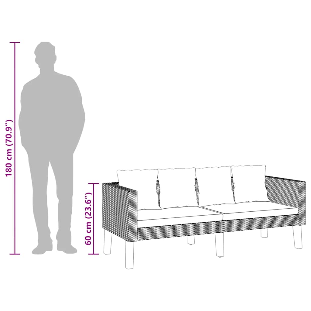 Divano da Giardino a 2 Posti con Cuscini in Polyrattan Nero 310216