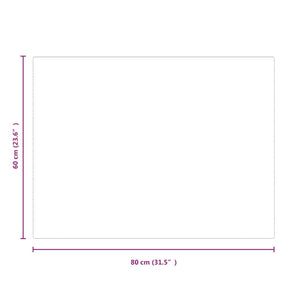 Lastra in Vetro per Caminetto Rettangolare 80x60 cm 324128
