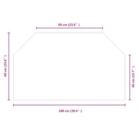 Lastra in Vetro per Caminetto Esagonale 100x60 cm 324136