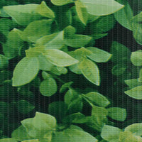 Recinzione Frangivento da Giardino PVC 35x0,19 m Verde 147849