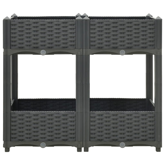 Fioriera aiuola rialzata piante fiori giardino80 x 40 x 71 cm polipropilene grigio scuro 02_0000948