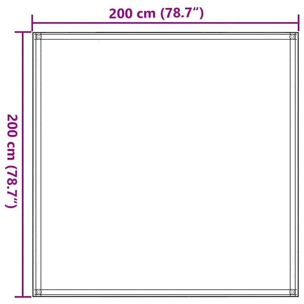 Tappeto da Tenda 200x200 cm Antracite 310676
