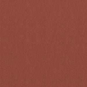 Paravento da Balcone Terracotta 120x400 cm Tessuto Oxford cod mxl 18307