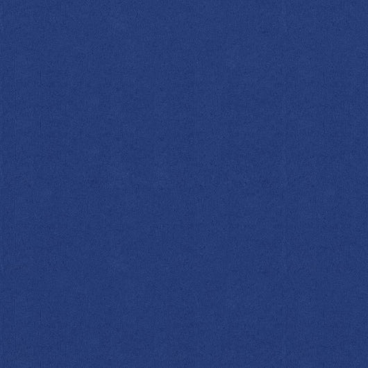 Paravento da Balcone Blu 75x400 cm in Tessuto Oxfordcod mxl 118983