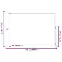 Tenda Laterale Retrattile per Patio 200x300 cm Nero 313411