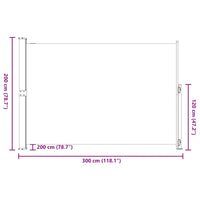 Tenda Laterale Retrattile per Patio 200x300 cm Grigia 313413