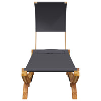 Lettino con Tettuccio 100x200x126 cm in Legno Curvato Antracite cod mxl 71227